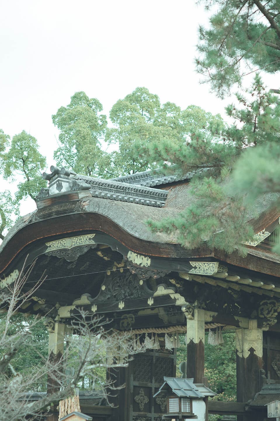 ユーモアウェディング｜高木孝昌