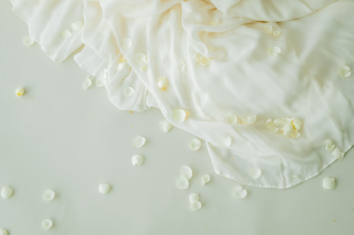 ご予約・お問合せ